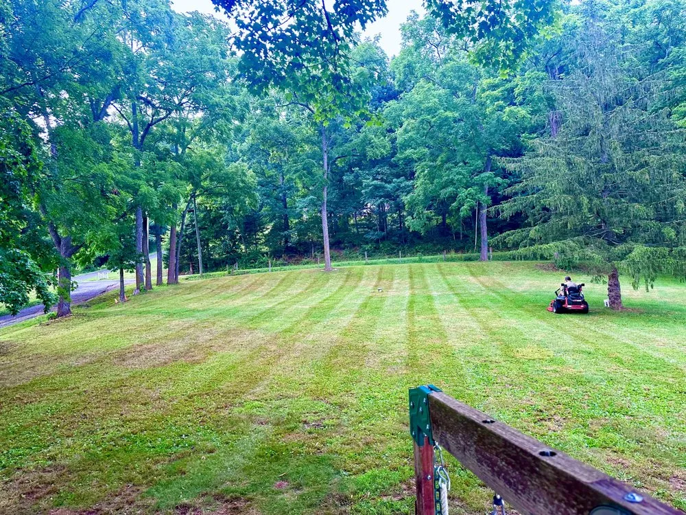 Trusted yard maintenance in Fort Chiswell, VA by Mabes Landscaping