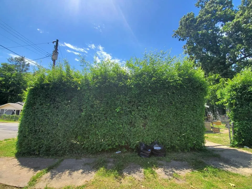 Expert garden landscaping with custom design across Little Rock, AR - Mabrie Mow N Go