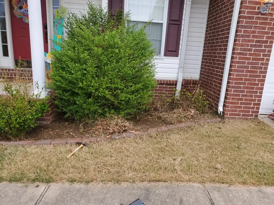 Top-rated yard maintenance experts serving Little Rock, AR - Mabrie Mow N Go