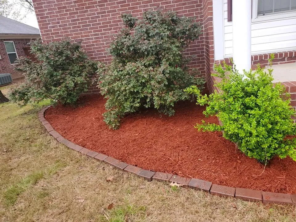 Expert lawn care service in Little Rock, AR - Mabrie Mow N Go