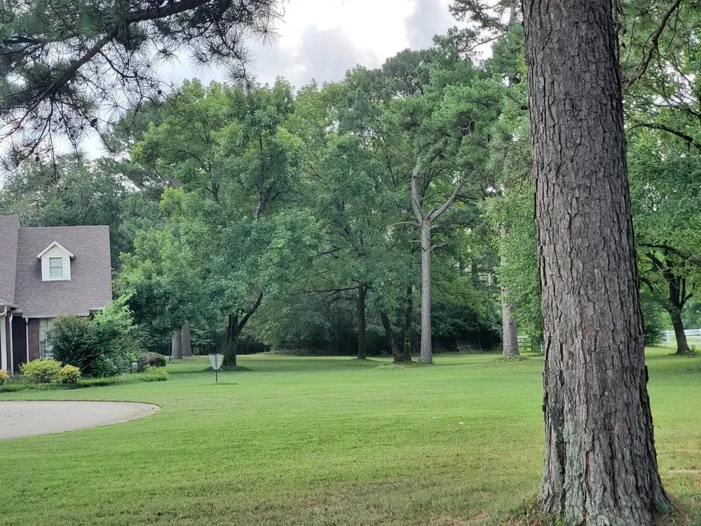 Trusted outdoor landscaping for homes in Little Rock, AR by Mabrie Mow N Go