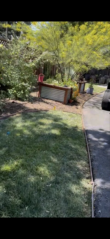 Expert landscape design in Clayton, CA - Mac And Josh Landscaping