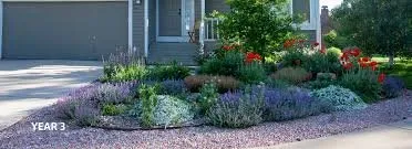 Top-rated landscape installation in Denver, CO by Mac and Sons Landscaping