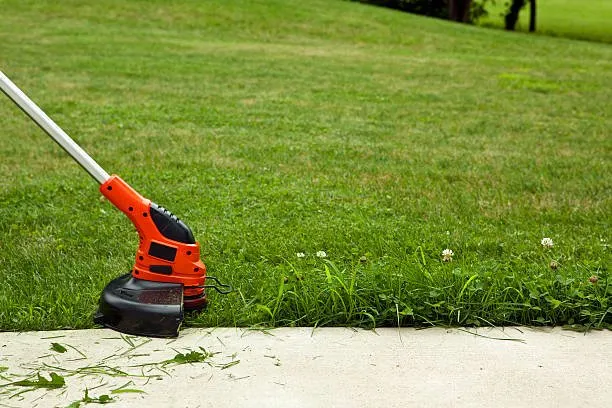 Trusted yard cleanup service experts serving Pensacola, FL - Mac Daddy's Lawn Care