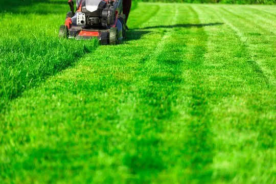 Custom lawn mowing service for year-round maintenance in Pensacola, FL by Mac Daddy's Lawn Care