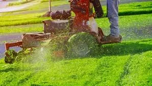 Professional yard cleanup service experts serving Pensacola, FL - Mac Daddy's Lawn Care