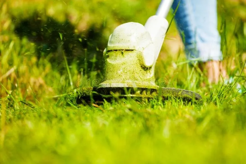 Professional garden landscaping for year-round maintenance across Pensacola, FL - Mac Daddy's Lawn Care