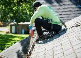 Professional lawn mowing service for beautiful yards in Merrionette Pk, IL by Mac Home Services