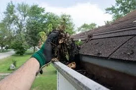 Custom lawn mowing service experts serving Merrionette Pk, IL - Mac Home Services
