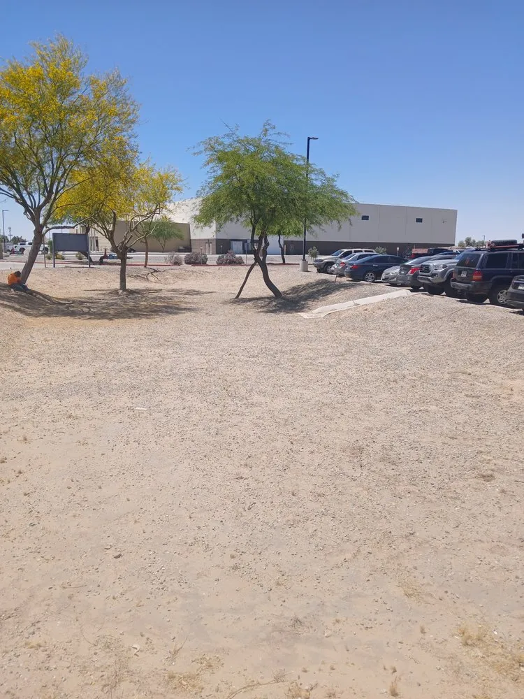 Reliable landscape installation for beautiful yards across Yuma, AZ - MAC Landscape And Yard Maintenance
