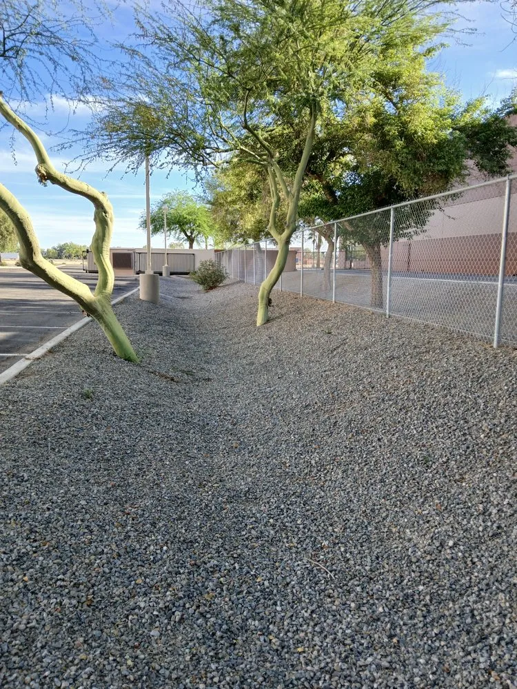 Reliable lawn mowing service in Yuma, AZ - MAC Landscape And Yard Maintenance