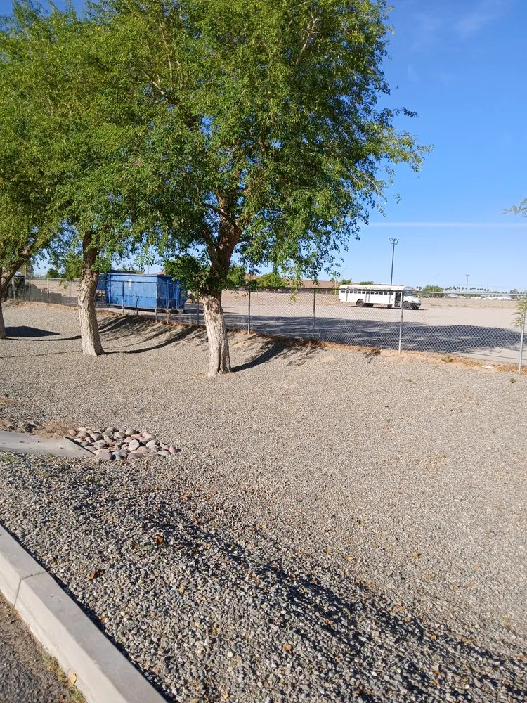 Custom yard maintenance in Yuma, AZ - MAC Landscape And Yard Maintenance