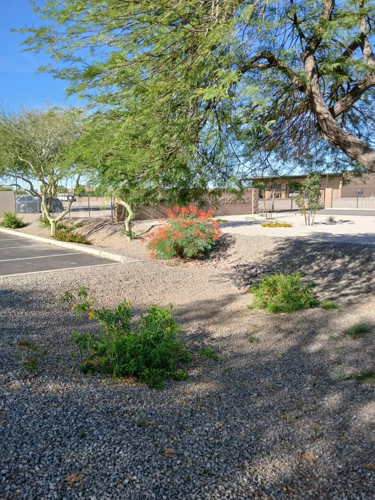 Reliable outdoor landscaping in Yuma, AZ - MAC Landscape And Yard Maintenance