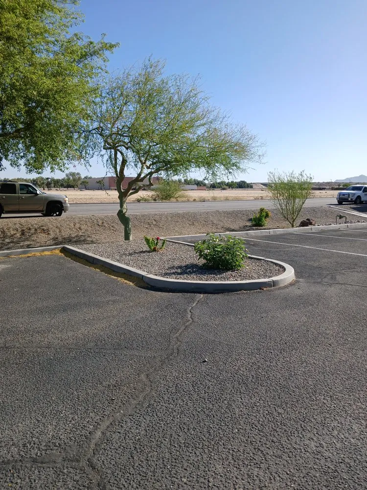 Reliable yard maintenance in Yuma, AZ - MAC Landscape And Yard Maintenance