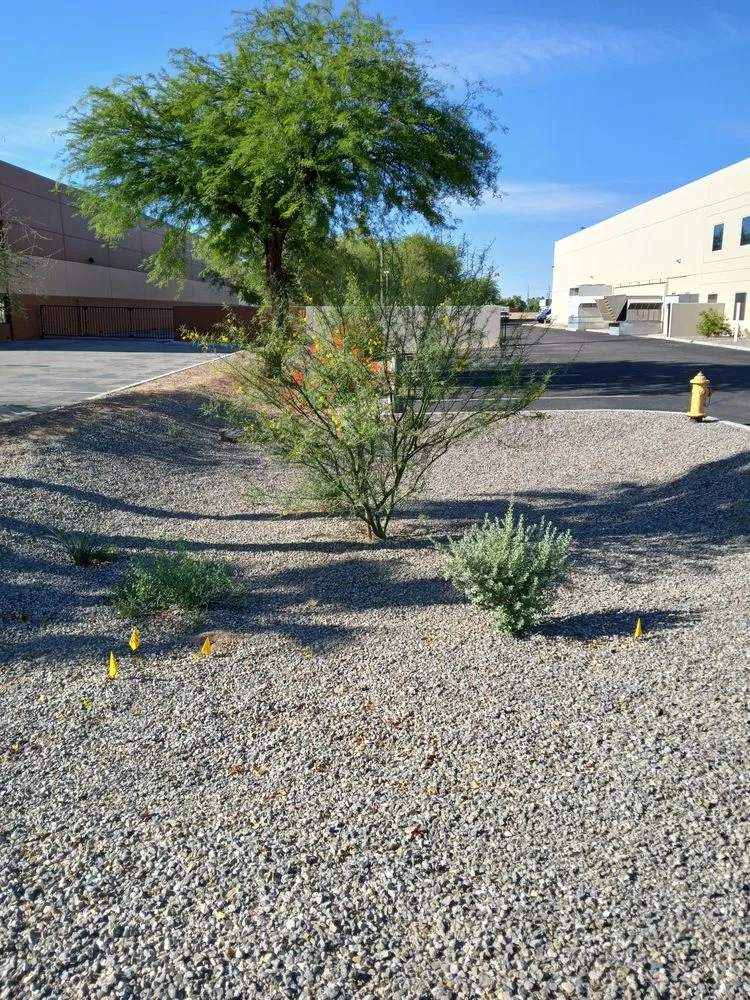 Trusted outdoor landscaping for beautiful yards in Yuma, AZ by MAC Landscape And Yard Maintenance