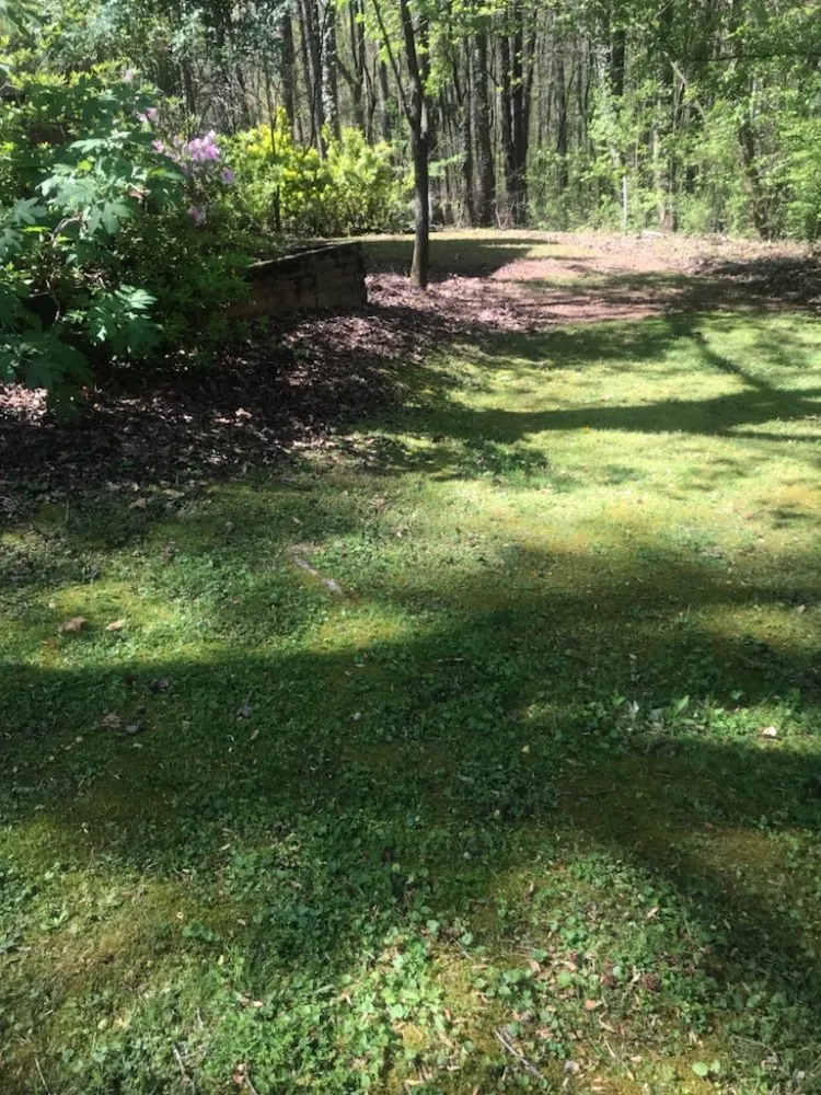 Local residential landscaping for outdoor upgrades across Chelsea, AL - Mac Lawn Care