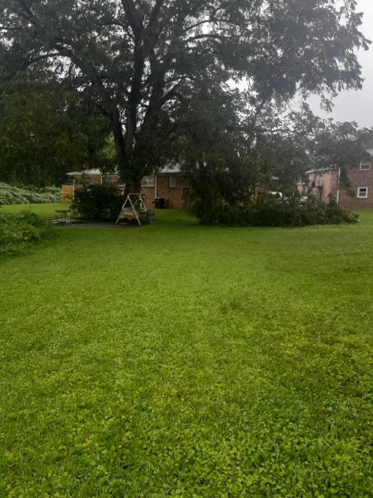 Top-rated lawn mowing service for beautiful yards in Chelsea, AL by Mac Lawn Care