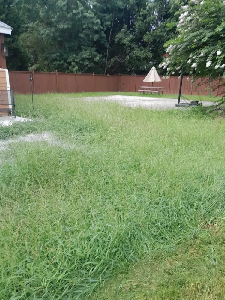 Local outdoor landscaping for residential properties in Chelsea, AL by Mac Lawn Care