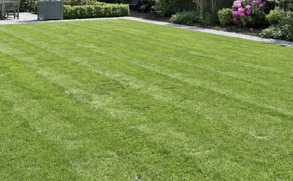Mac Lawn Care Logo