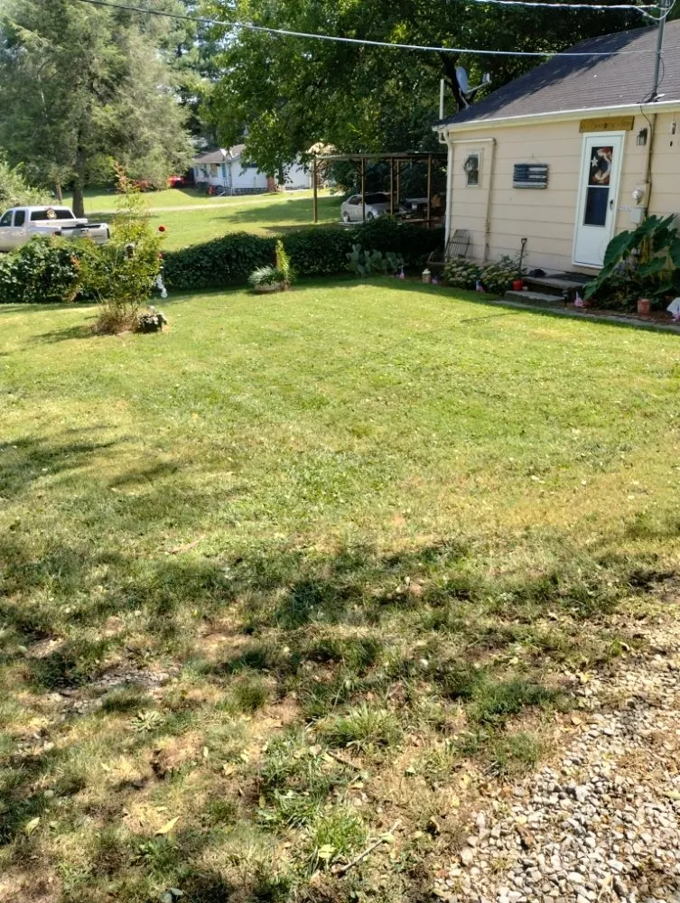 Professional yard cleanup service in Jefferson City, TN by MAC Lawn Care