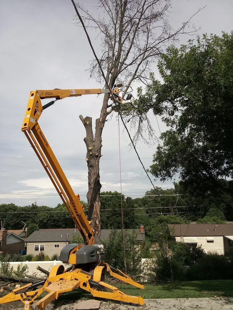 Professional yard maintenance experts serving De Soto, MO - Mac Tree Land Scape