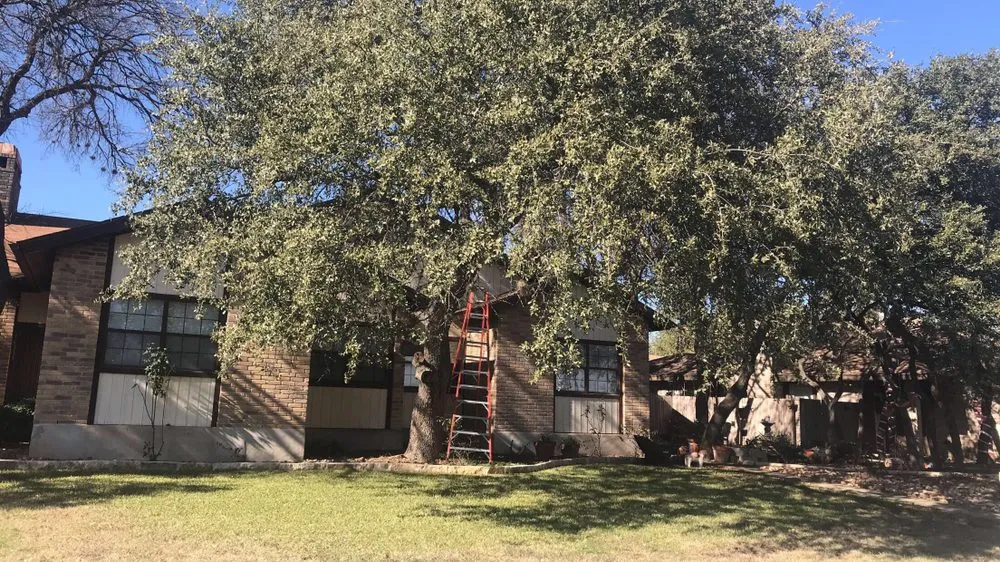 Top-rated outdoor landscaping for homes across San Antonio, TX - Macario Brother's Lawn Care