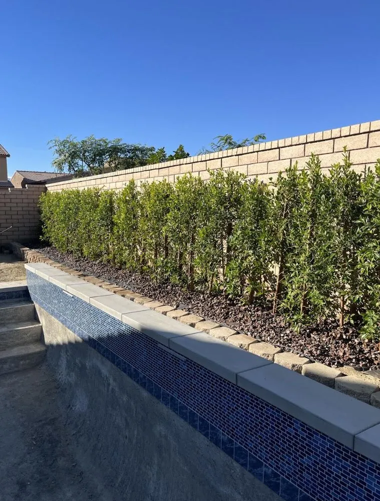 Expert landscape design experts serving Thermal, CA - Macarios Tree Service