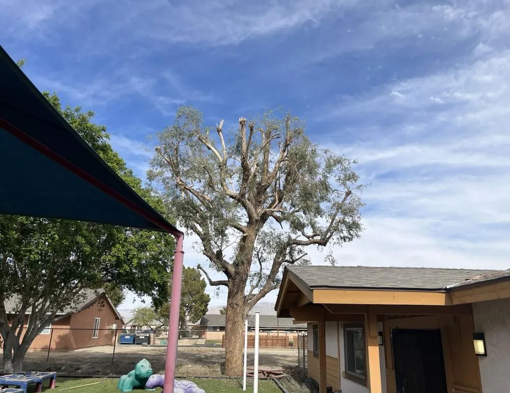 Professional garden landscaping with custom design across Thermal, CA - Macarios Tree Service