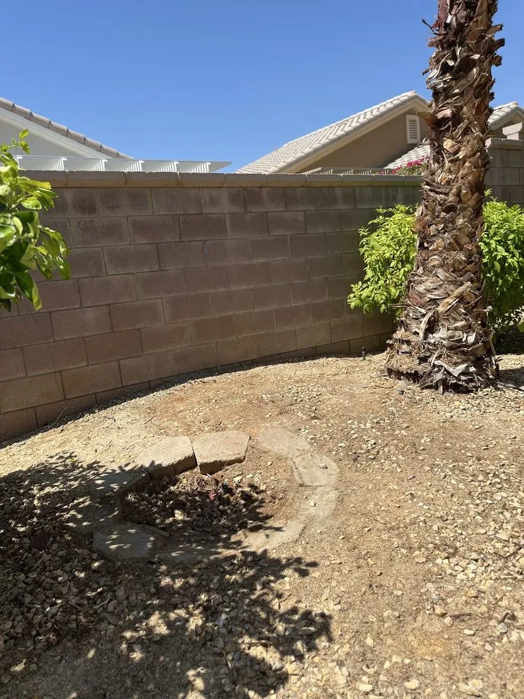 Professional lawn care service in Thermal, CA by Macarios Tree Service