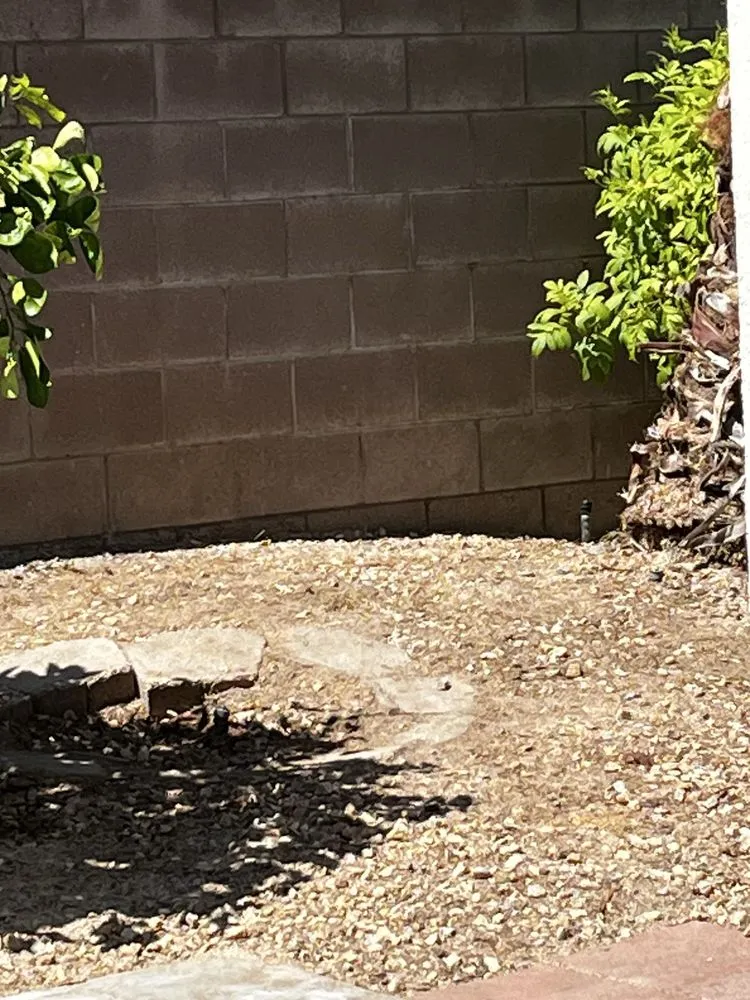 Expert landscaping services near you across Thermal, CA - Macarios Tree Service