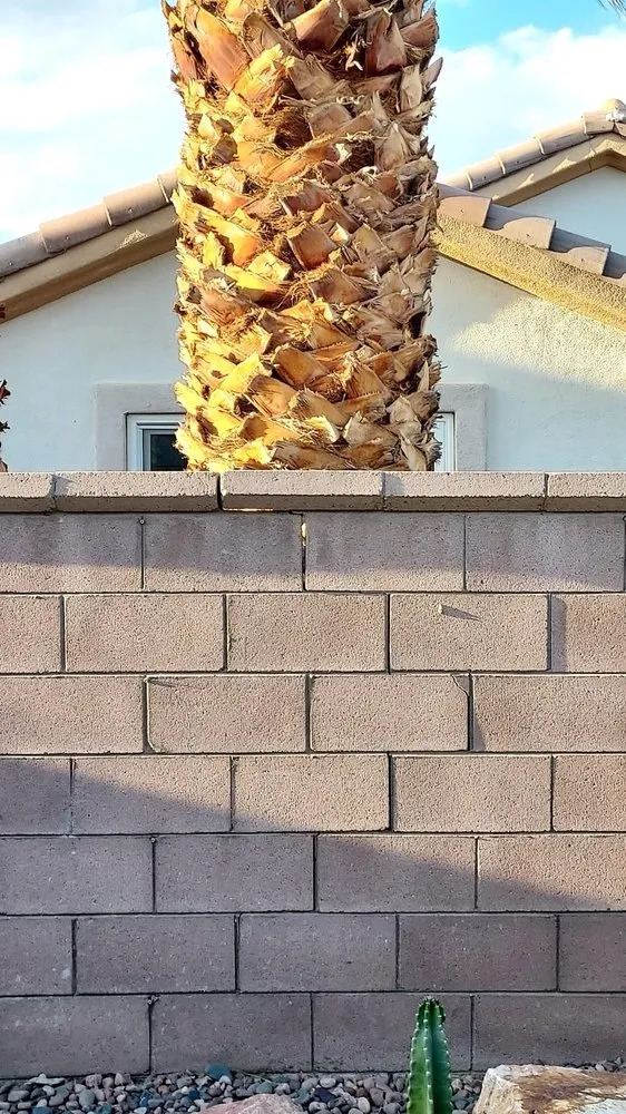 Affordable outdoor landscaping in Thermal, CA - Macarios Tree Service