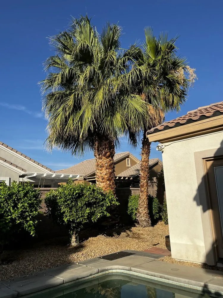 Affordable landscape installation for homes in Thermal, CA by Macarios Tree Service