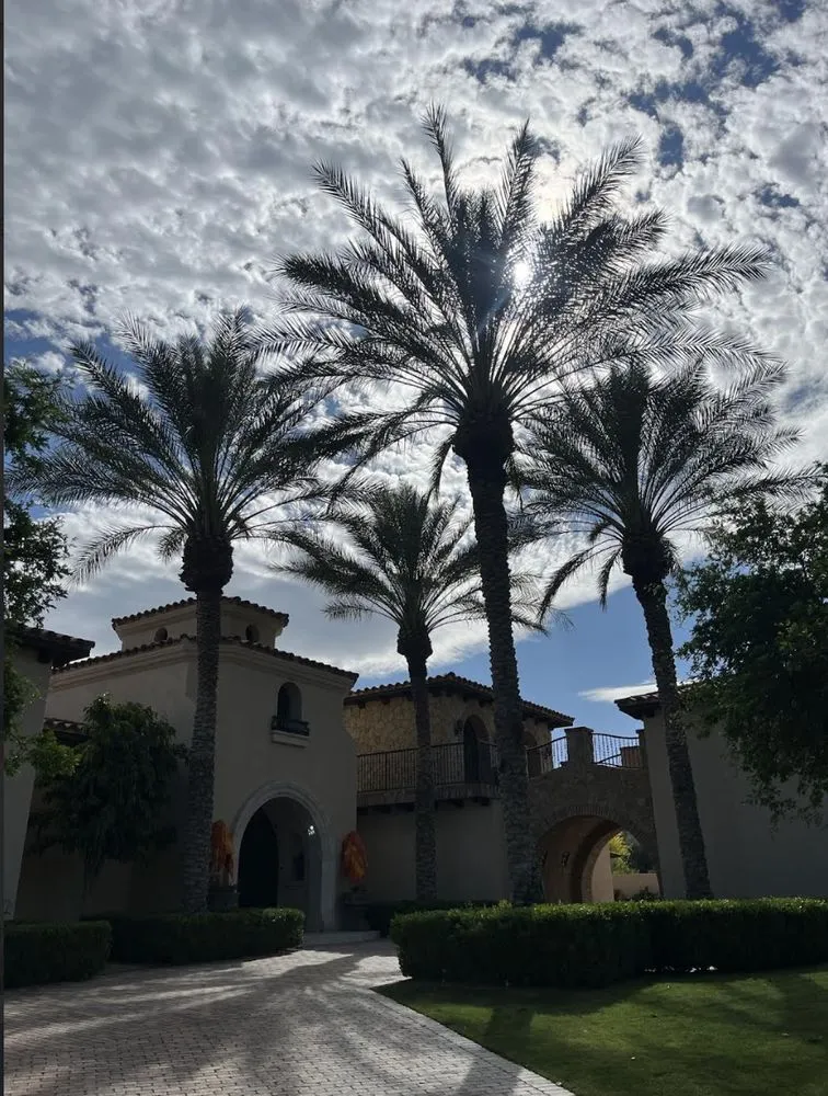 Trusted outdoor landscaping for beautiful yards in Thermal, CA by Macarios Tree Service