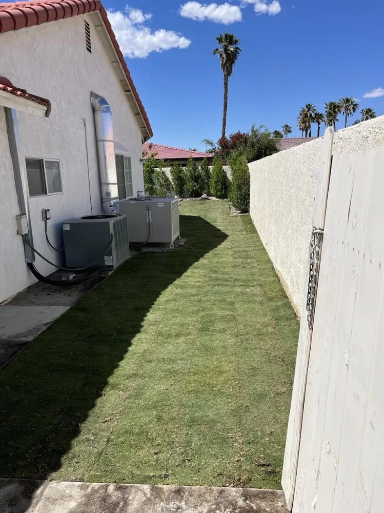 Expert outdoor landscaping experts serving Thermal, CA - Macarios Tree Service