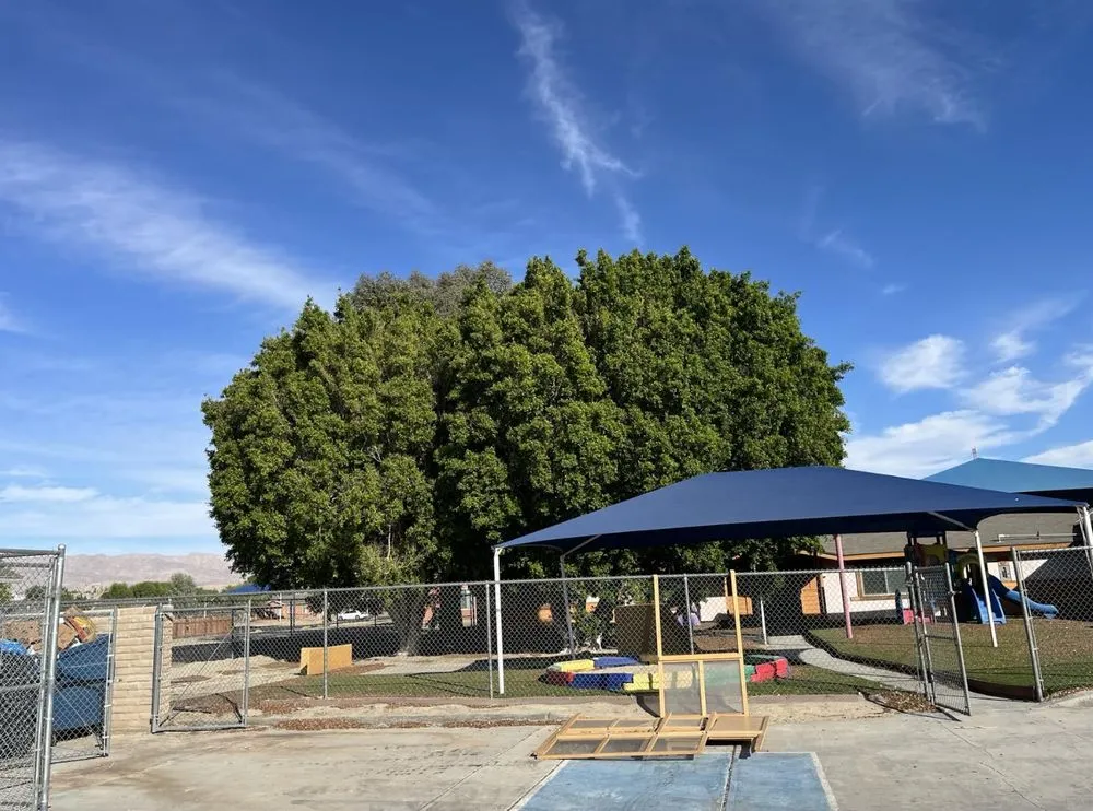 Expert lawn care service near you across Thermal, CA - Macarios Tree Service