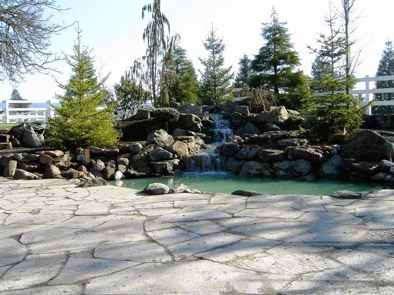 Reliable yard cleanup service experts serving Battle Ground, WA - MacArthur Landscape & Construction