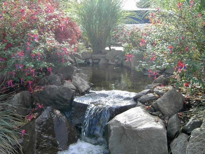 Custom lawn care service for outdoor upgrades across Battle Ground, WA - MacArthur Landscape & Construction