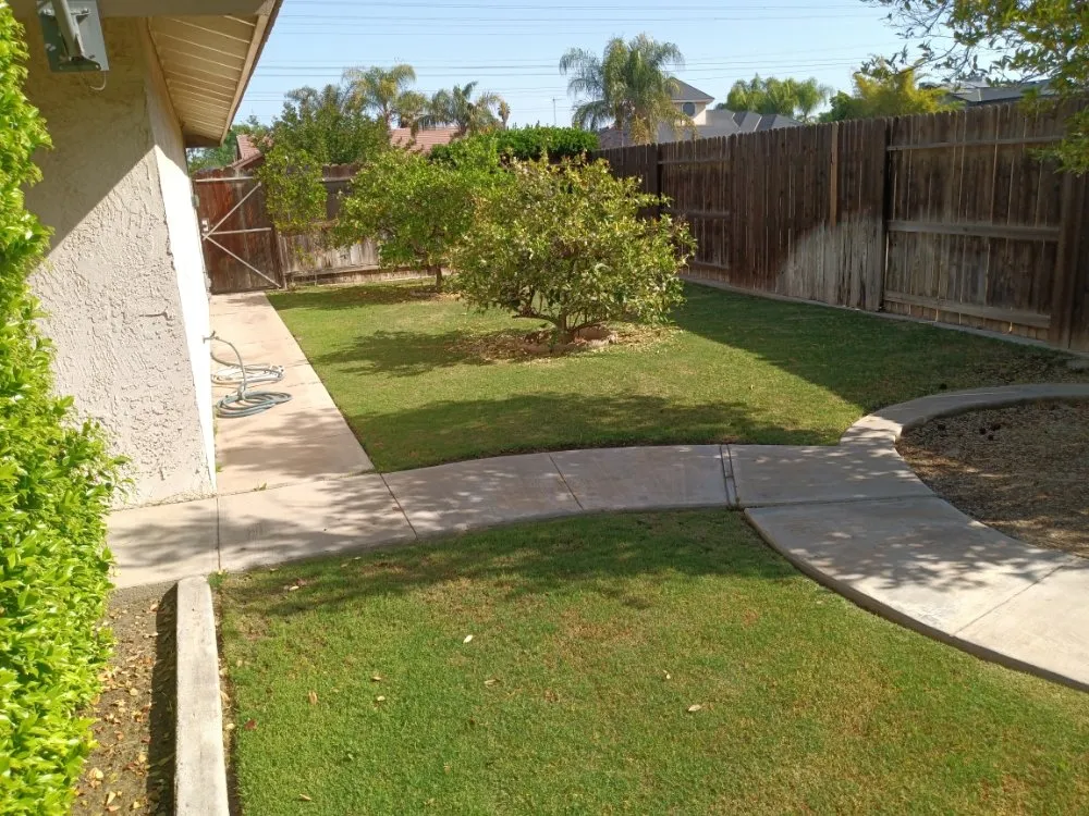Custom yard maintenance in Bakersfield, CA by Macassi Landscaping