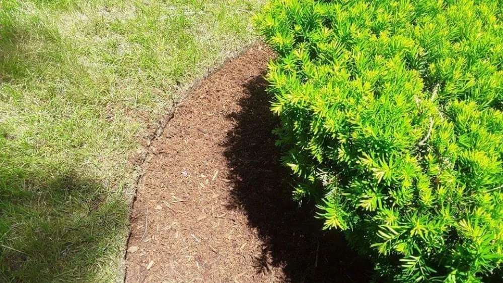 Local landscaping services for outdoor upgrades across Warwick, RI - Maccarone Family Landscaping