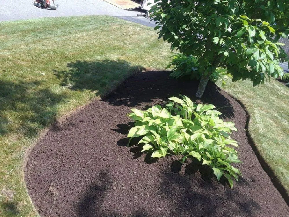 Custom yard maintenance in Warwick, RI by Maccarone Family Landscaping