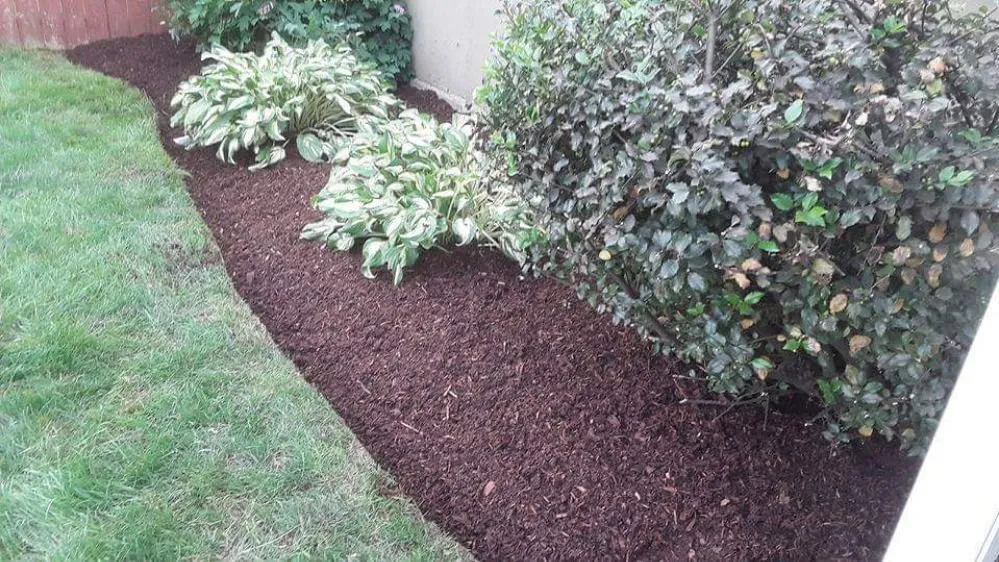 Top-rated lawn care service for beautiful yards in Warwick, RI by Maccarone Family Landscaping