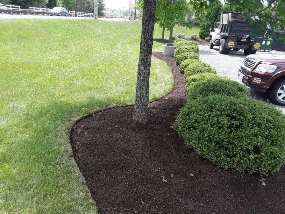 Expert lawn care service in Warwick, RI - Maccarone Family Landscaping