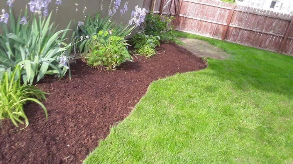 Custom yard cleanup service in Warwick, RI by Maccarone Family Landscaping