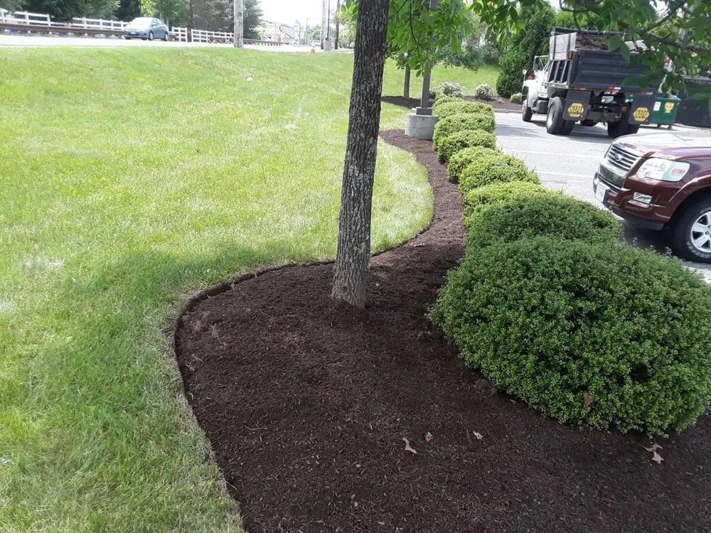 Local lawn care service for outdoor upgrades in Warwick, RI by Maccarone Family Landscaping