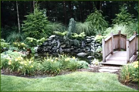 Macchione's Landscaping