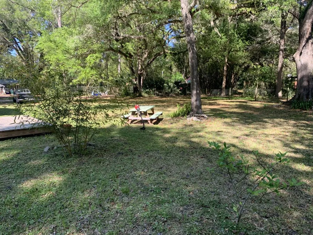 Affordable lawn mowing service for residential properties across Hawthorne, FL - MACE Cleaning Co