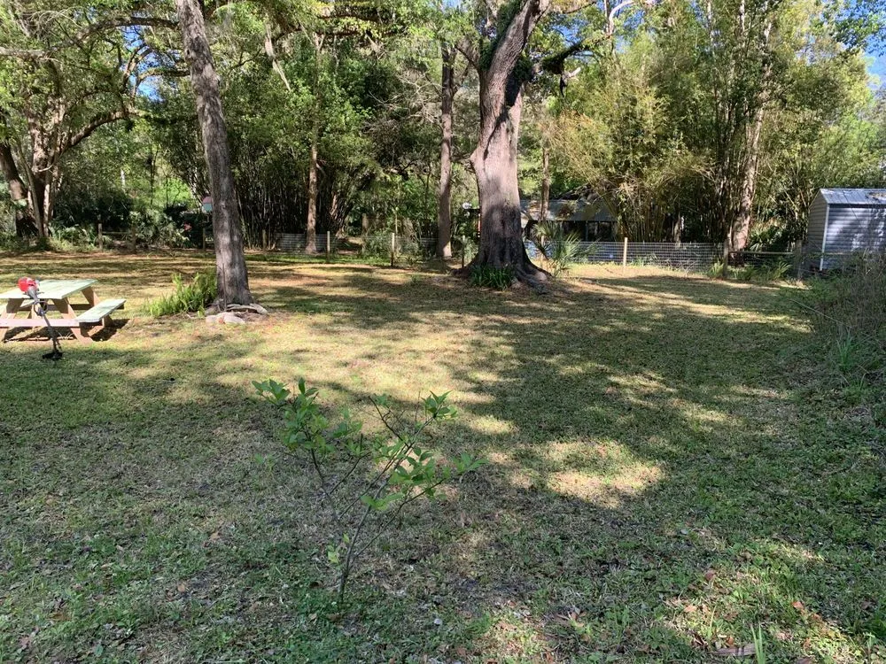 Professional lawn mowing service experts serving Hawthorne, FL - MACE Cleaning Co