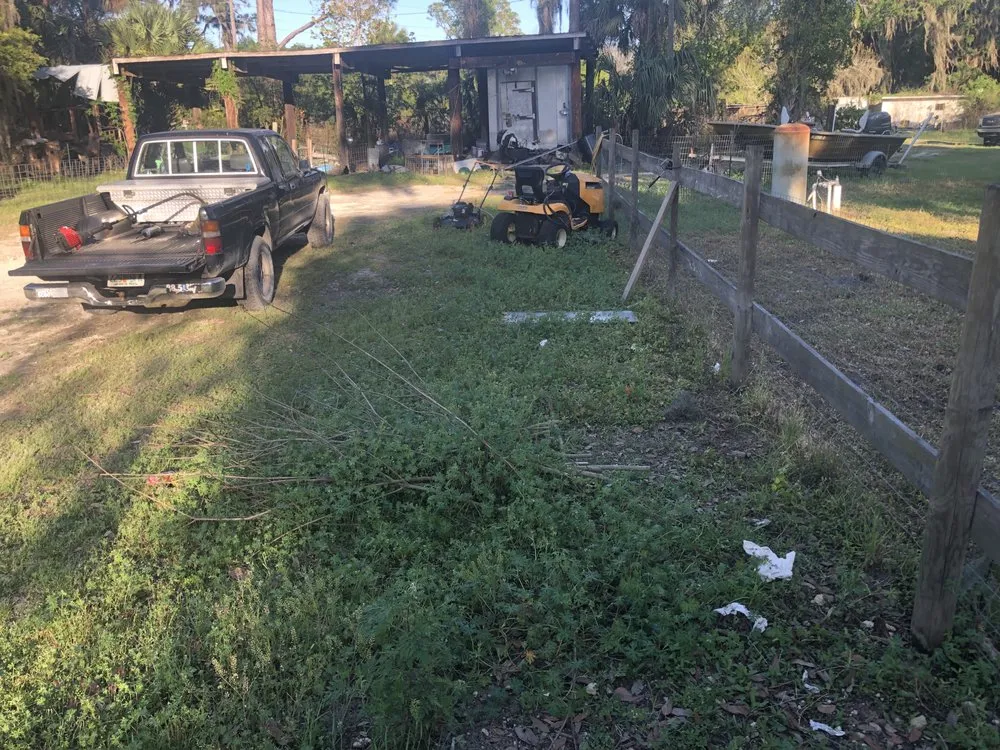 Professional yard cleanup service for year-round maintenance in Hawthorne, FL by MACE Cleaning Co