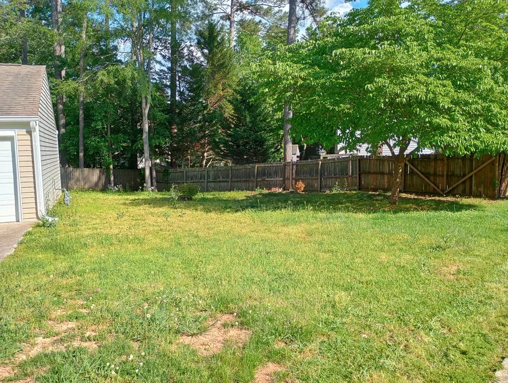 Expert lawn care service in Cobb, GA by Mace Landscaping