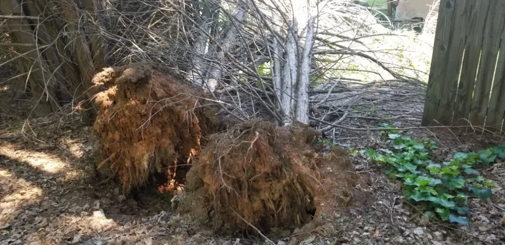 Reliable yard maintenance for outdoor upgrades in Greenville, SC by Maceda Landscaping Services